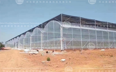 Steel Greenhouse