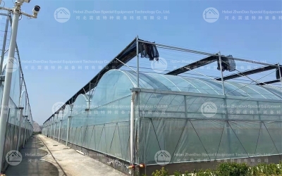 Steel Greenhouse
