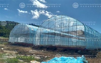 Steel Greenhouse