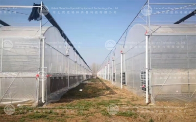 Steel Greenhouse
