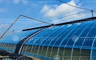 Steel Greenhouse
