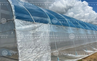 Steel Greenhouse