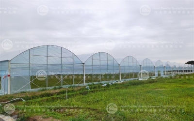 Steel Greenhouse