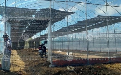 Steel Greenhouse