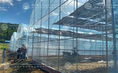 Steel Greenhouse