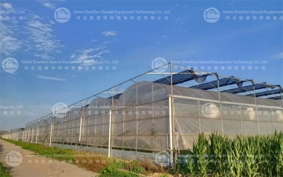 Steel Greenhouse