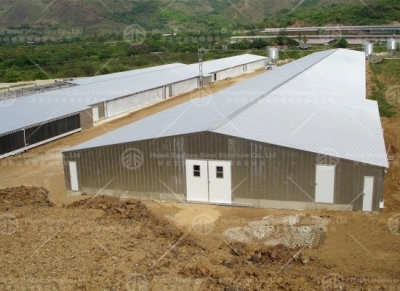 steel chicken house