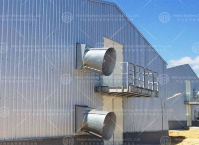 Steel Structure Poultry House