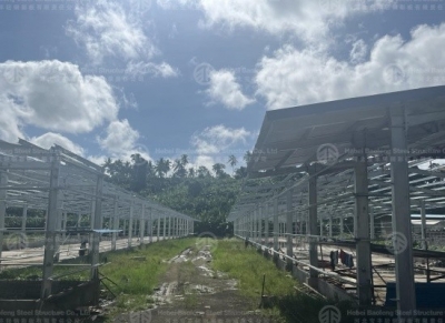 steel chicken house