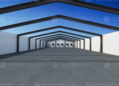Steel Structure Poultry House