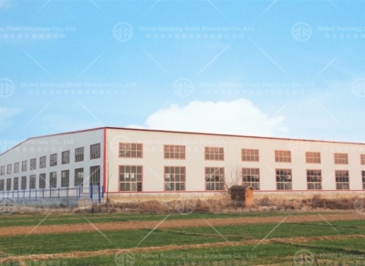 Steel Buildings