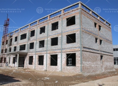 Steel Buildings