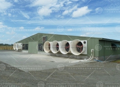 steel chicken house