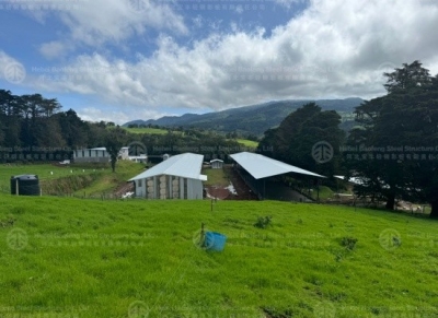 steel chicken house