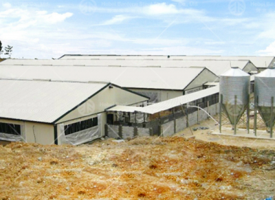 steel chicken house