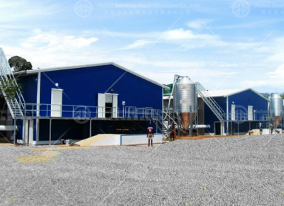 steel chicken house
