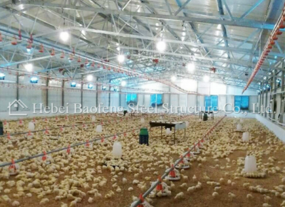 steel chicken house