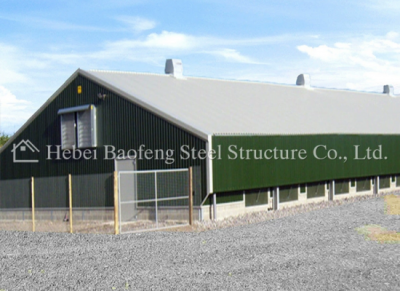 steel chicken house