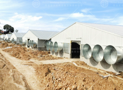 steel chicken house