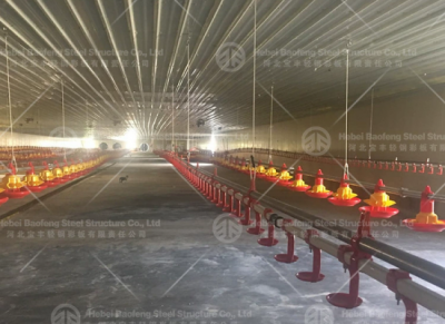 steel chicken house