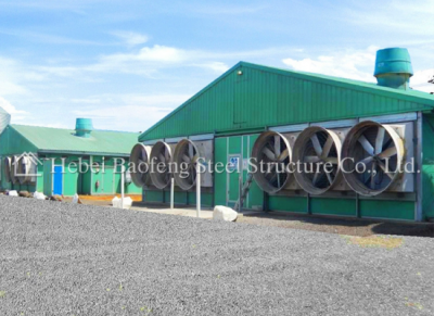 steel chicken house