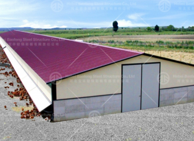 Steel Buildings