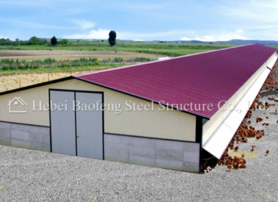 steel chicken house