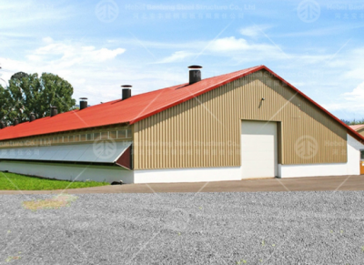 steel chicken house