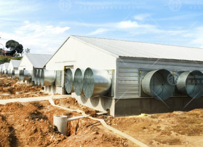 steel chicken house