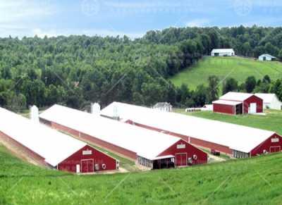 Steel Buildings