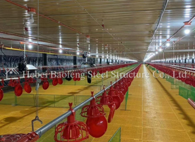Steel Buildings