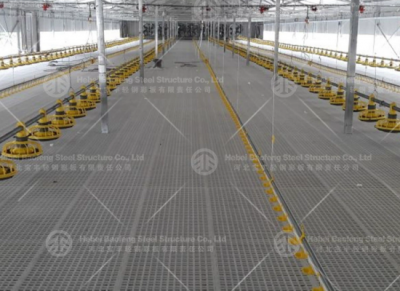 steel chicken house