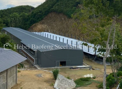 Steel Buildings