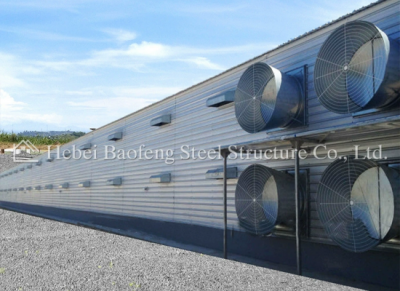 steel chicken house