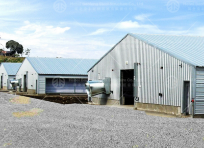 steel chicken house