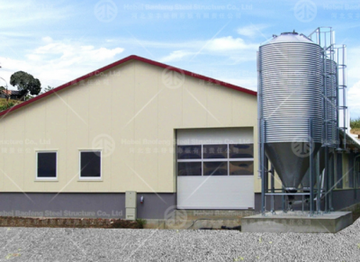 Steel Buildings