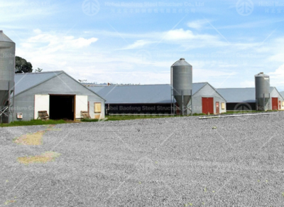 Steel Buildings