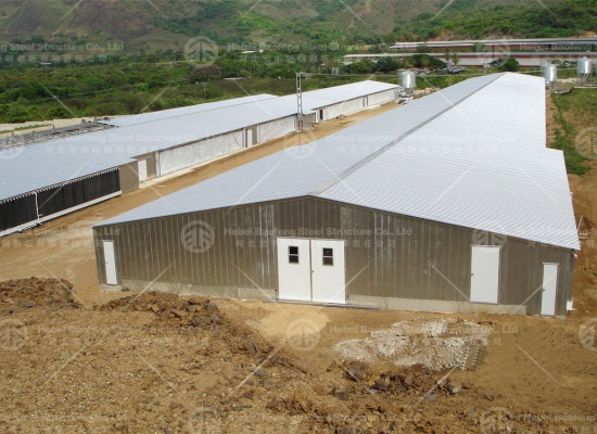 Steel Structure Chicken House