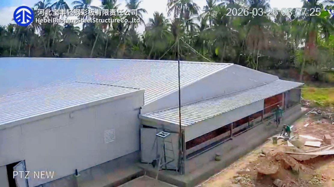 4,600 m² Steel-Structure Poultry House Exported to Southeast Asia