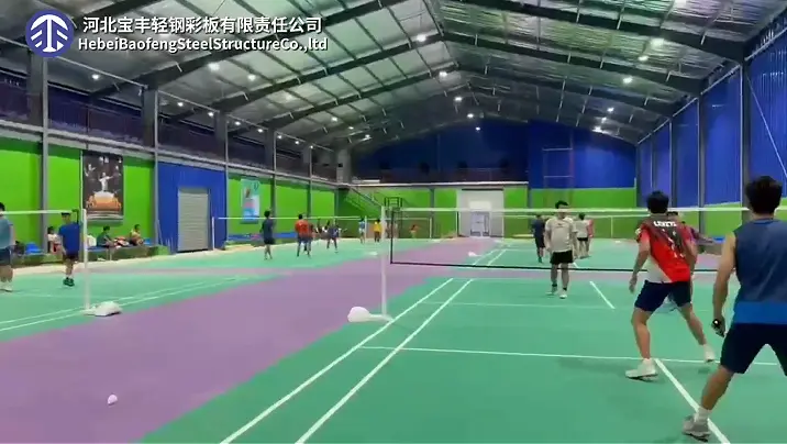 Southeast Asian Client Feedback: Steel Structure Stadium