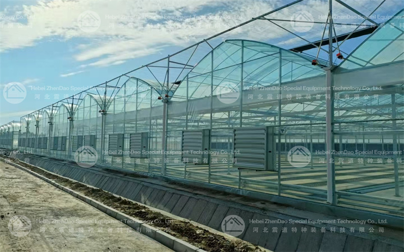 Multi-span film greenhouse