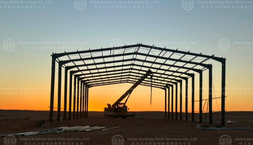 Export of Algerian Steel-Structure Warehouses to Africa