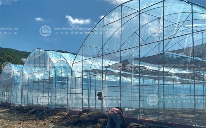 The Greenhouse: A Controlled Haven for Plant Growth